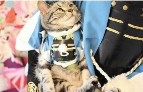 《刀剑乱舞》玩马头人SM？这种COS充满猎奇感